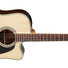 Takamine GD51CE NAT 1