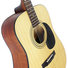Cort Standard AD810 LH OP 3