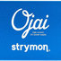 Strymon Ojai R30 0