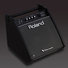 Roland PM-100 3