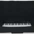 Gator GKB-88 88 Note Keyboard Gig Bag 8