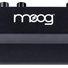 Moog DFAM Drummer From Another Mother 11