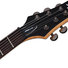 Schecter SGR Banshee-6 MRED 2