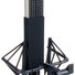 sE Electronics Voodoo VR2 8