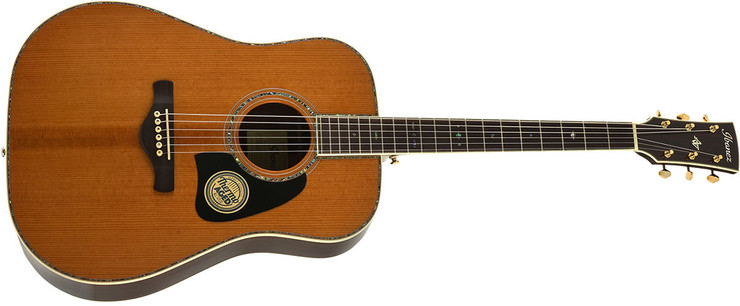 Ibanez AVD80-NT Natural 0