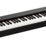 Korg D1 Black 1