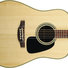 Takamine GD51 NAT 5