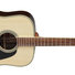 Takamine GD51 NAT 1