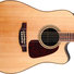 Takamine GD93CE 10