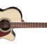Takamine GN93CE 1