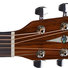 Cort Earth 70 BR 2