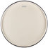 Evans UV1 Coated Bass BD22UV1 1