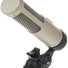 Royer R-10 5