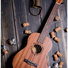 Flight NUB 310 11