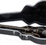 Gator GC-335 Semi-Hollow Style Guitar Case 1