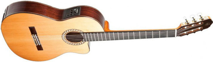 Prudencio Saez 56 Cutaway z