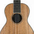 Planet Waves UHP Ukulele Humidifier Pro 4
