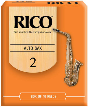 D'Addario RJA1020 Alto Sax 2 0