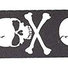 Planet Waves 50H01 Sublimation Printed Skull and Cross Bone 2