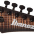 Ibanez Axion Label RGD71AL-ANB Antique Brown Stained 5