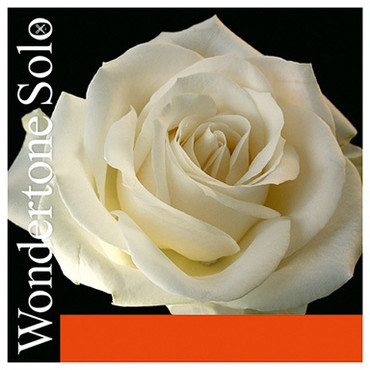 Pirastro 410021 Wondertone Solo Set E-Ball Mittel Envelope 4/4 0
