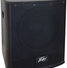 Peavey P2 Powered Line Array System 11