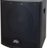 Peavey P2 Powered Line Array System 10