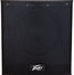 Peavey P2 Powered Line Array System 9