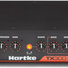 Hartke TX300 3
