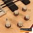 Cort Artisan A5 Plus FMMH OPN 2