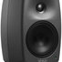 Genelec 8030CP 1