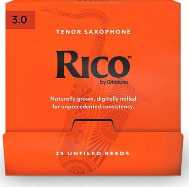 D'Addario RKA0130-B25 Rico 0