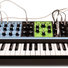 Moog Matriarch 2