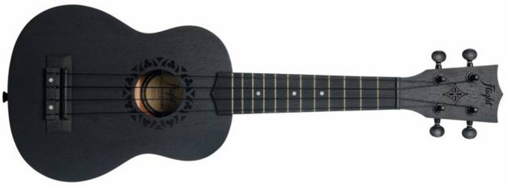 Flight NUS 310 Blackbird 0