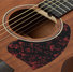 Ibanez PC12MH-OPN Open Pore Natural 8