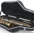 Gator GC-ALTO SAX Alto Sax Case 9