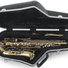 Gator GC-ALTO SAX Alto Sax Case 7