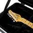 Gator GC-ELECTRIC-A Electric Guitar Case 5