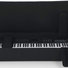 Gator GK-88-Slim 88 Note Keyboard Case 2