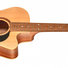 Maton Performer 4