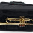 Gator GL-TRUMPET-A Trumpet Case 15