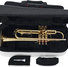 Gator GL-TRUMPET-A Trumpet Case 26