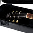 Gator GTSA-GTRLPS Les Paul Guitar Case 10