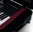 Gator GTSA-KEY88 Molded 88-Note Keyboard Case 3