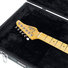 Gator GW-ELECTRIC Deluxe Wood Electric Guitar Case 6