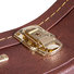 Gator GW-LP-BROWN Deluxe Wood Les Paul Guitar Case Brown 10