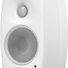 Genelec 4010AW 3