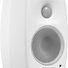 Genelec 4010AW 2
