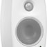 Genelec 4010AW 1