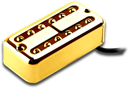 Tesla TV-ML1 Neck Gold 0